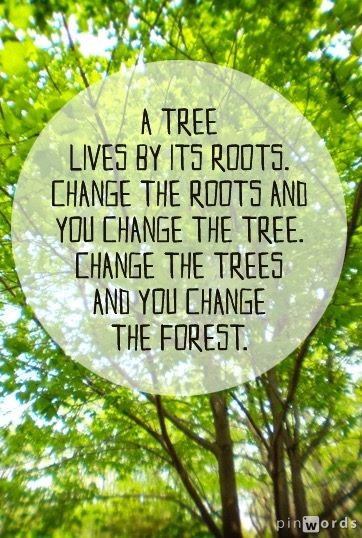 A tree lives by it's root. Change the roots and you change the tree. Change the trees and you change the forest.