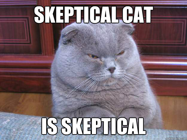 Gray cat "skeptical cat is skeptical" meme